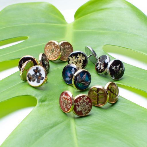 Collection Graines de lisière